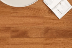 成了一个笼盖普遍